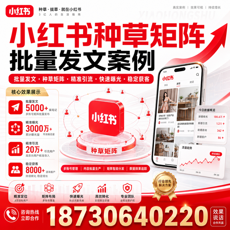 六安小红书种草矩阵批量发文案例